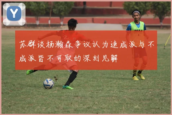 苏群谈杨瀚森争议认为速成派与不成派皆不可取的深刻见解