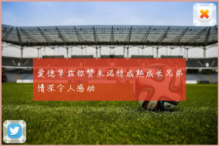 爱德华兹称赞米诺特成熟成长兄弟情深令人感动