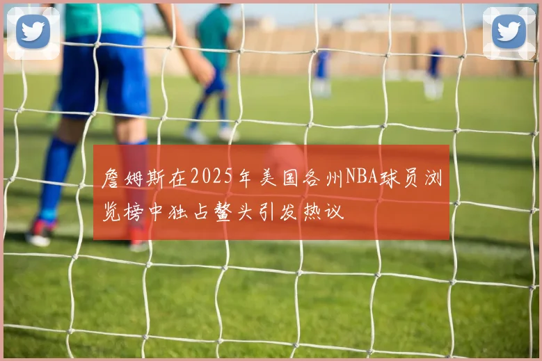 詹姆斯在2025年美国各州NBA球员浏览榜中独占鳌头引发热议