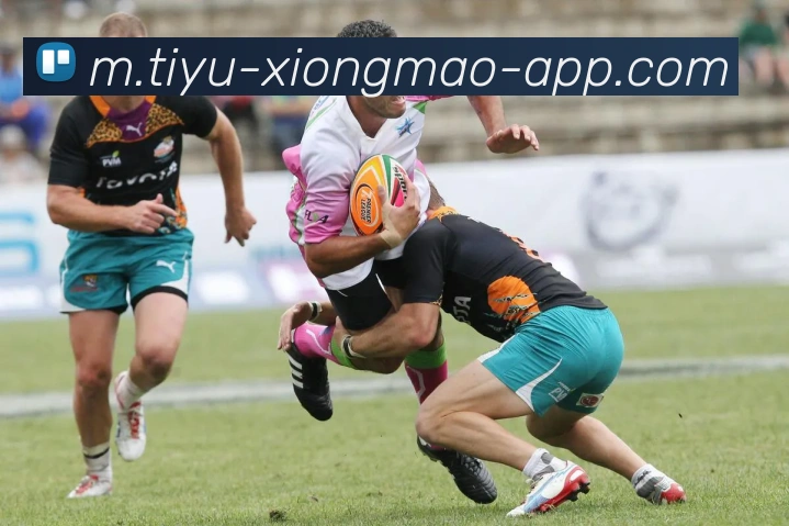 熊猫体育平台生态图